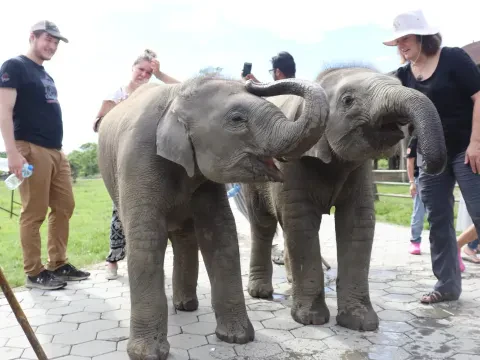 Chitwan Jungle Safari Tour