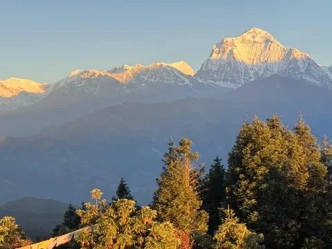 Poon Hill Trek in March