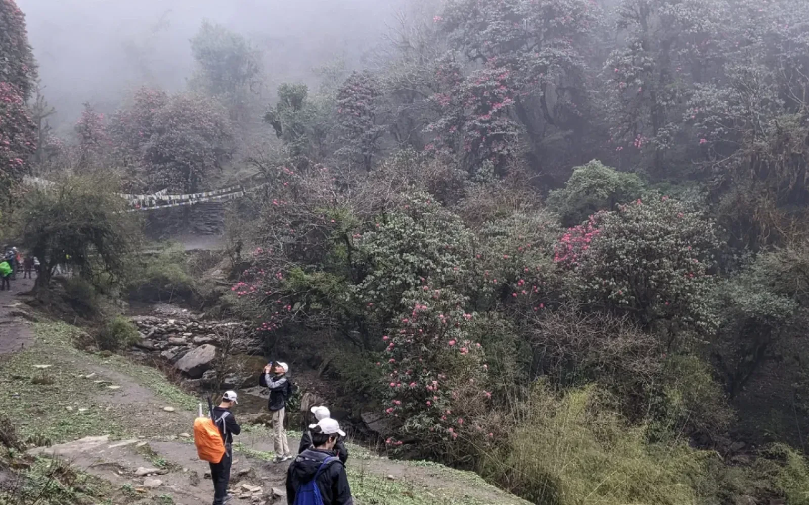 Poon Hill Trek in April