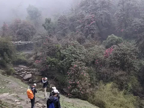 Poon Hill Trek in April