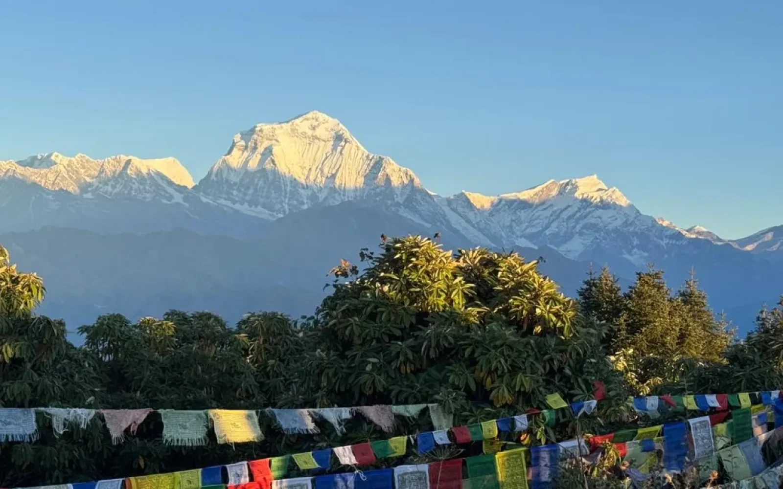 Poon Hill Trek in May