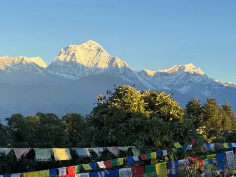 Poon Hill Trek in May