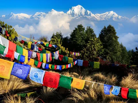 Poon Hill mountain view with colourful prayer flags and Himalayan peaks.