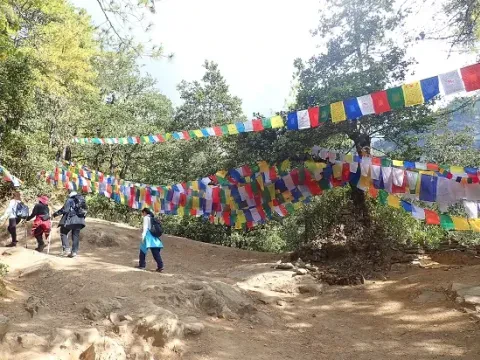 Guests hiking along a scenic mountain trail in Bhutan.