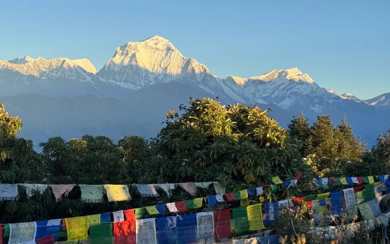 How much does it cost to trek to Poon Hill?