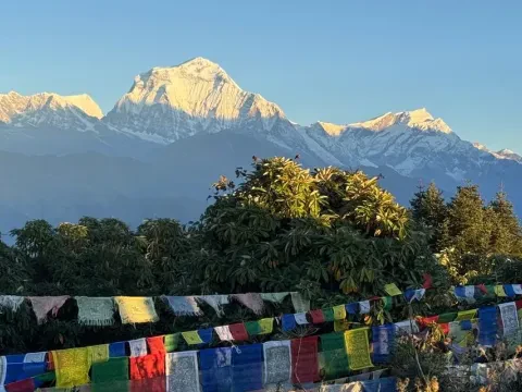 How much does it cost to trek to Poon Hill?