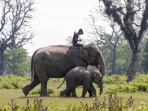 Day Tours in Nepal