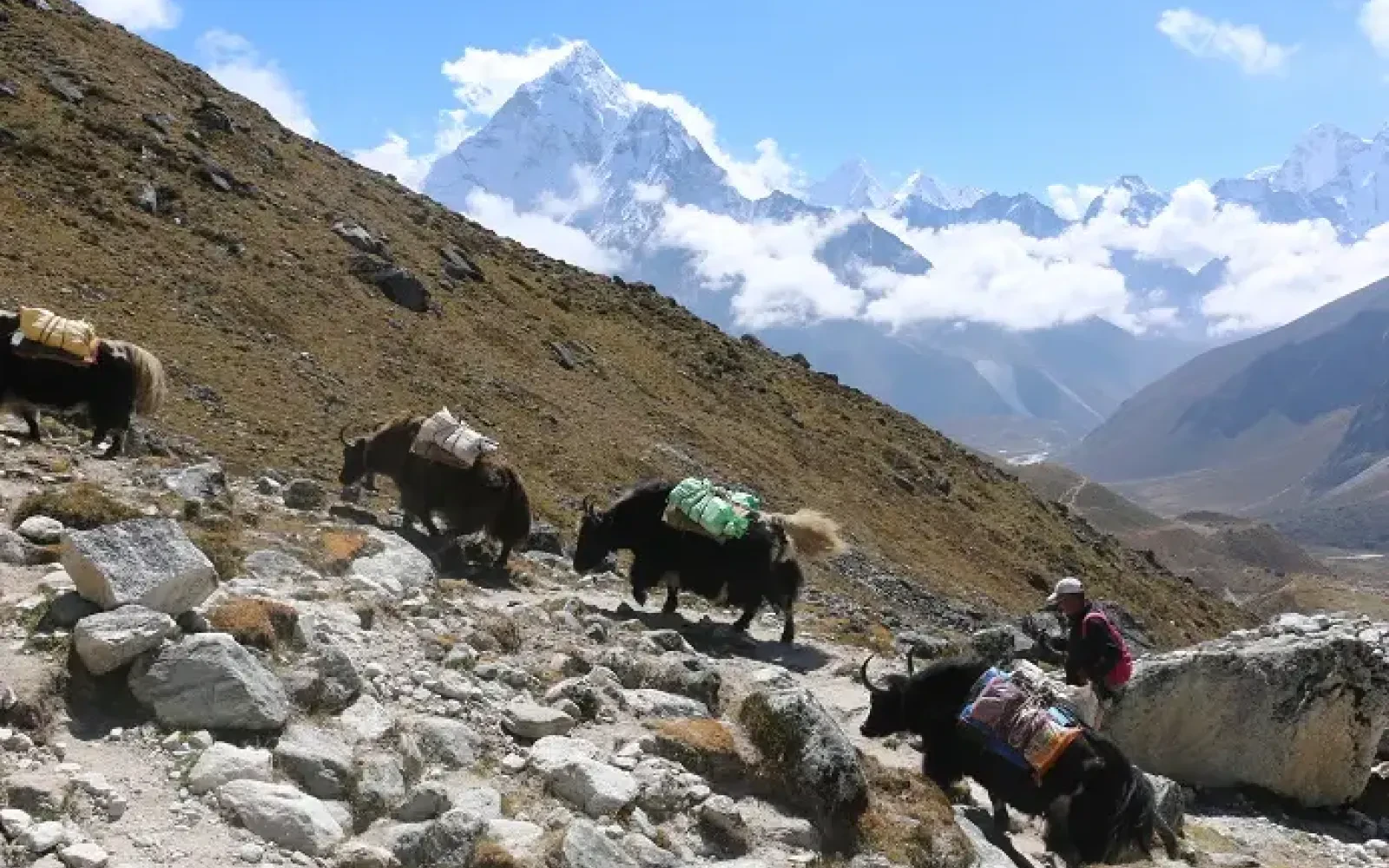 Can a beginner do Everest Base Camp Trek?