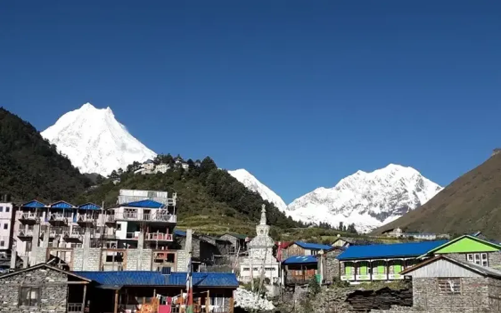 Foods on Manaslu Circuit Trek: What's on the Menu?