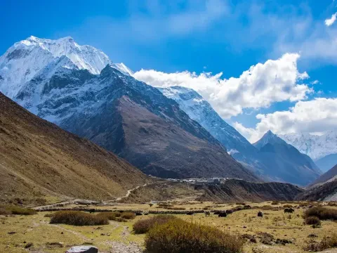 Manaslu Circuit Trek 14 days: Cost and Itinerary