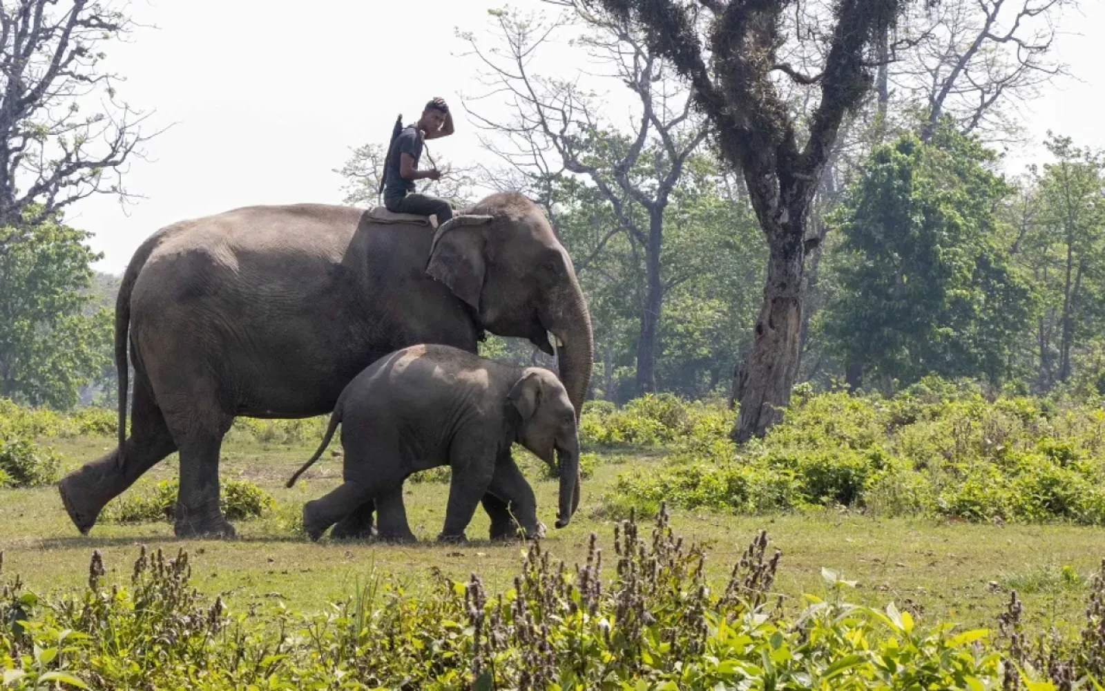 Tours in Nepal