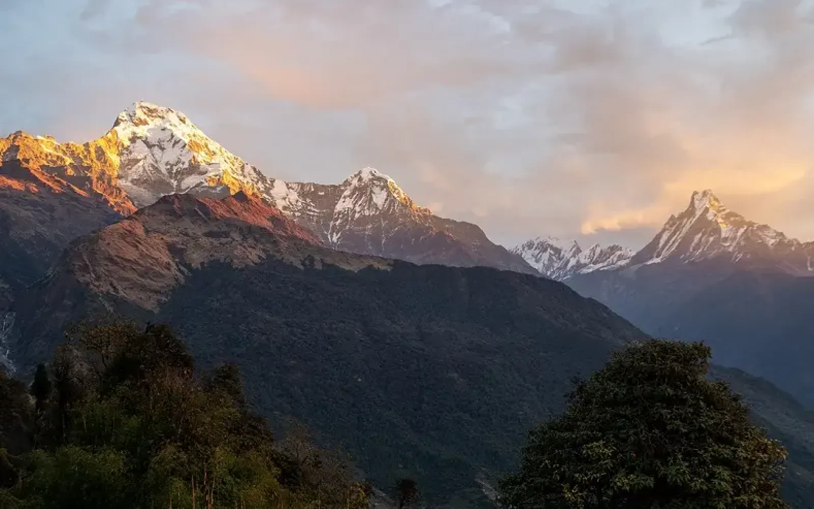 Tadapani: A Popular Stopover on Poon Hill Trek