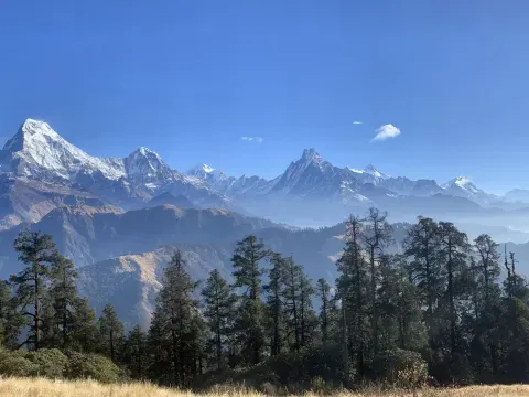 Himalayan mountains above lush green forests on the Poon Hill Trek