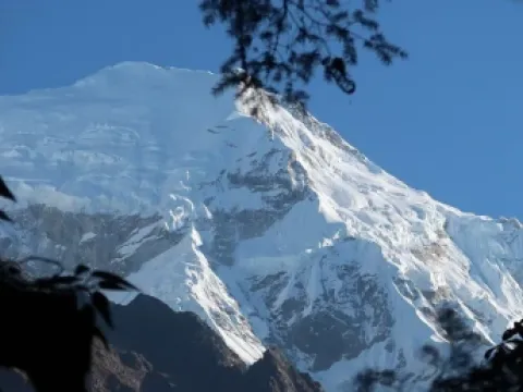 Langtang mountains visible through a forest trail.