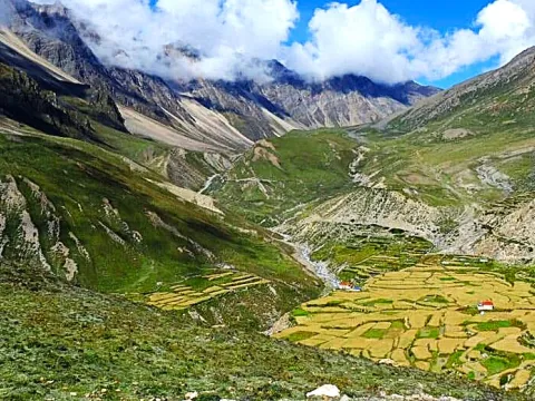 Colourful farmland in Nar Phu Valley with mountain scenery.