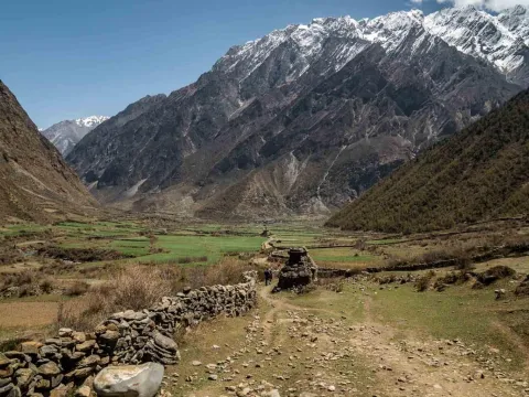 Scenic Tsum Valley landscape with farmland and snow-capped mountains.