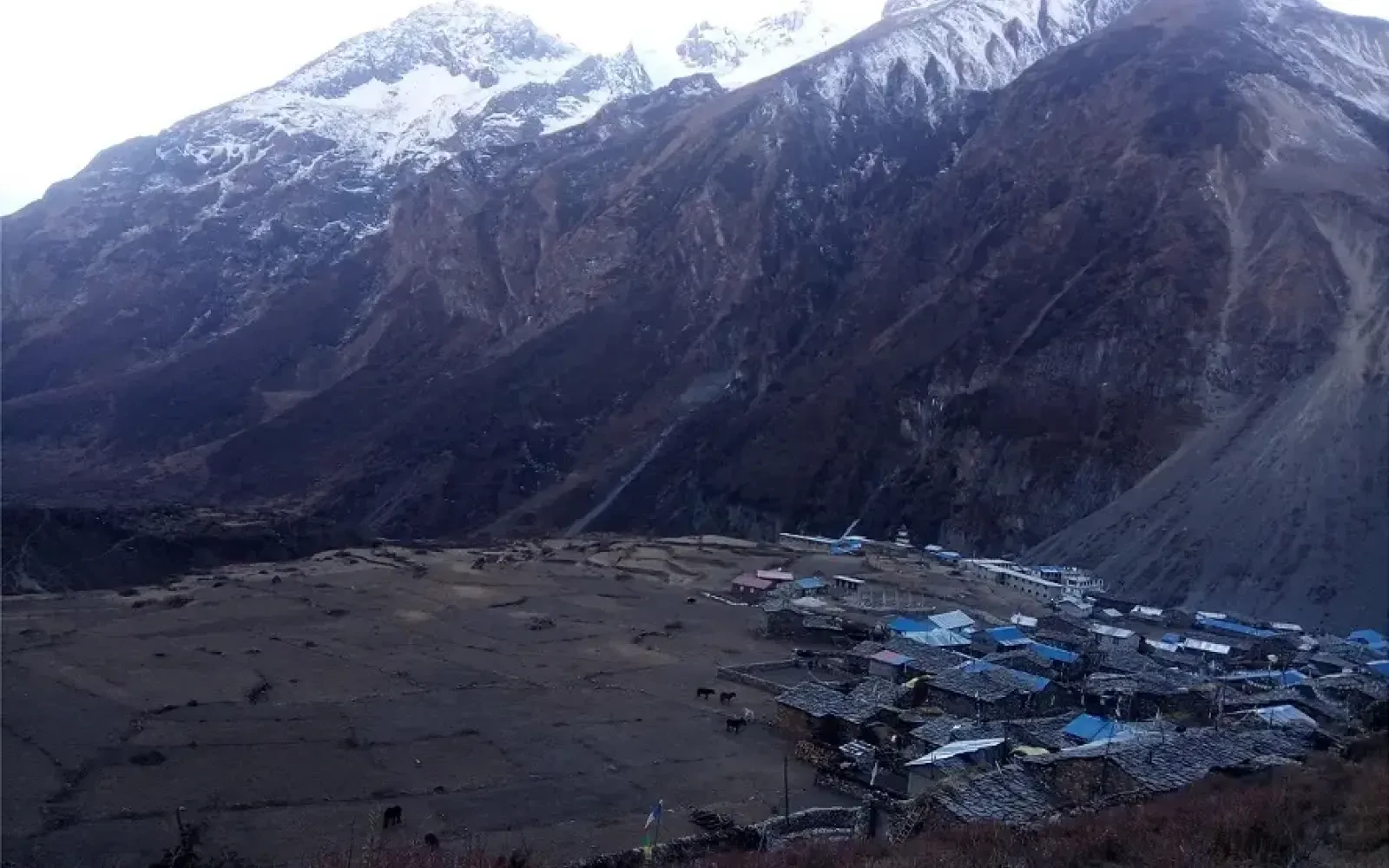 Samdo: An Acclimatization Stop on Manaslu Circuit Trek