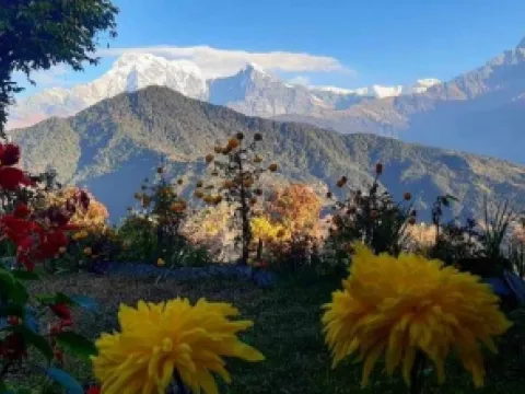 Himalayan range from Dhampus on the Mardi Himal Trek route.