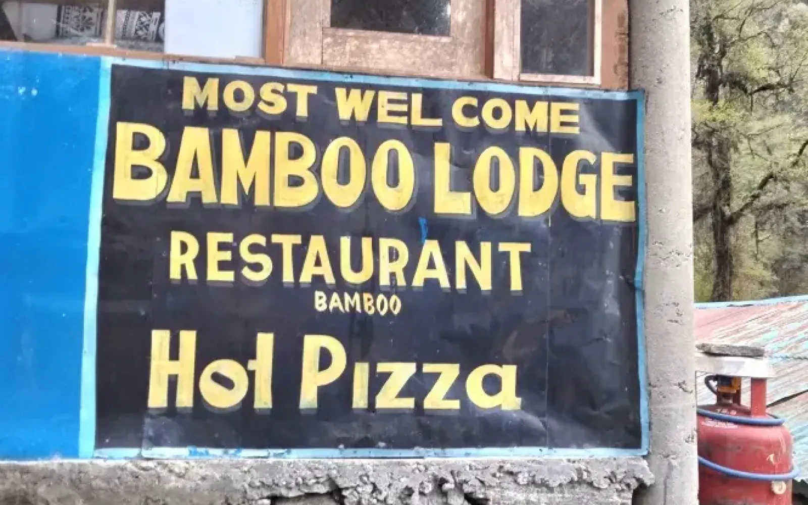 Bamboo: A Bamboo Forested Village on ABC Trail