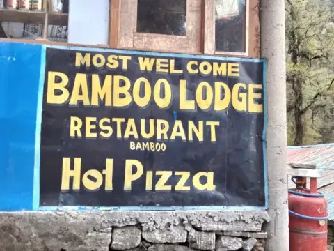 Bamboo: A Bamboo Forested Village on ABC Trail