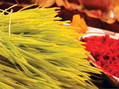 Travelling in Nepal during Dashain: Advantages, Disadvantages and Practical Travel Tips