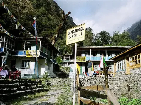 Lama Hotel: An Ideal Stop In Langtang Valley