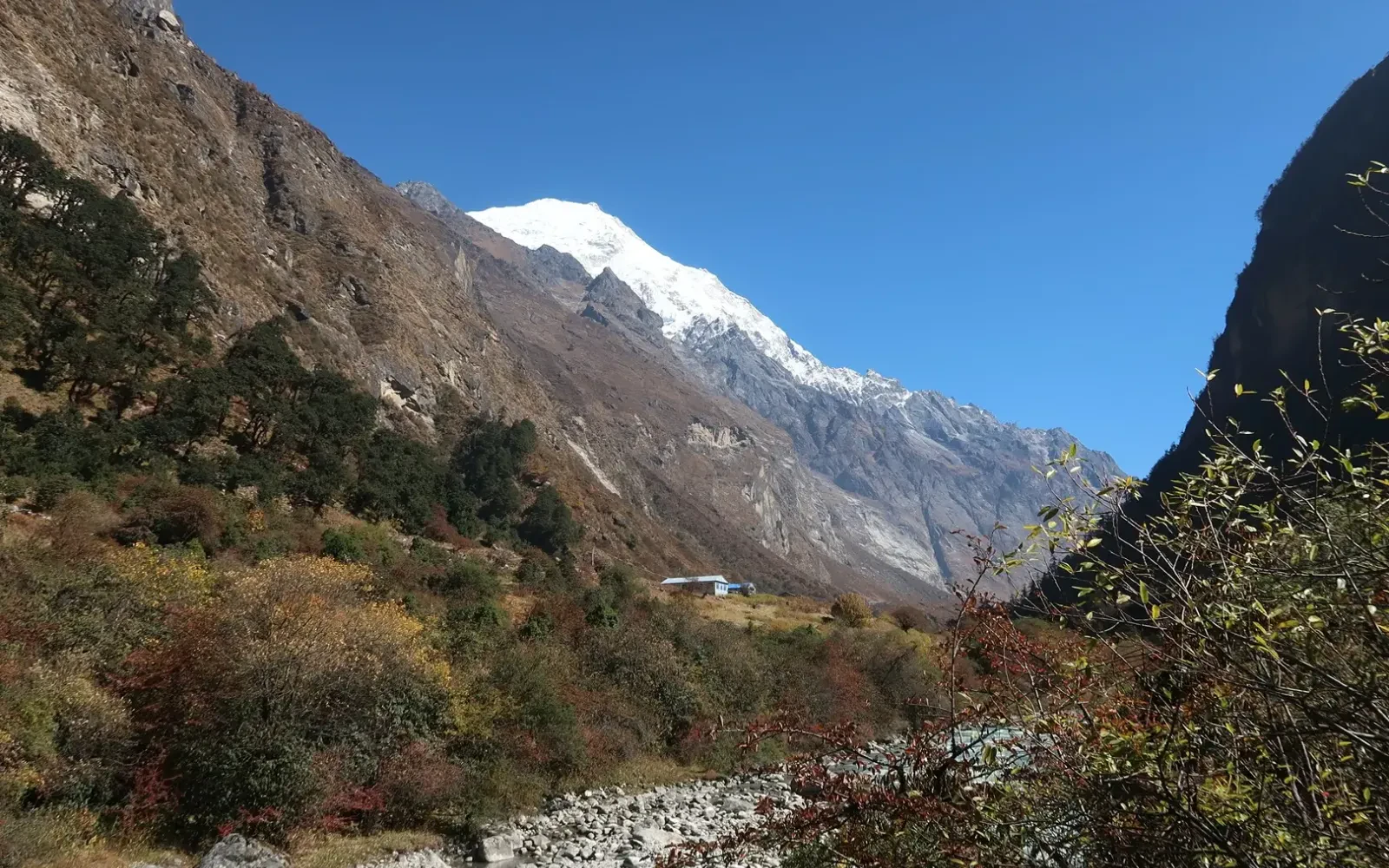 Ghoda Tabela: Horse Pastures of the Langtang Valley
