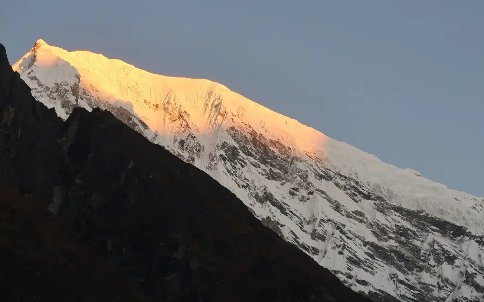 Ultimate Guide to Langtang Valley Trek for Beginners
