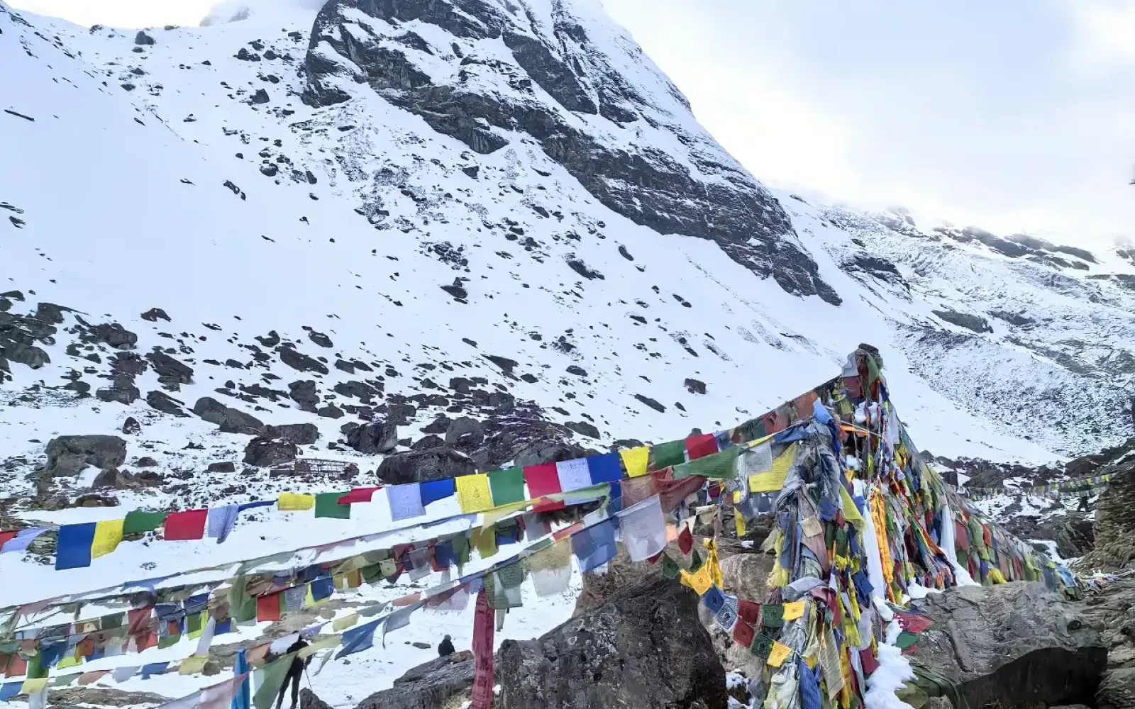 Annapurna Base Camp Trek in Autumn VS in Spring