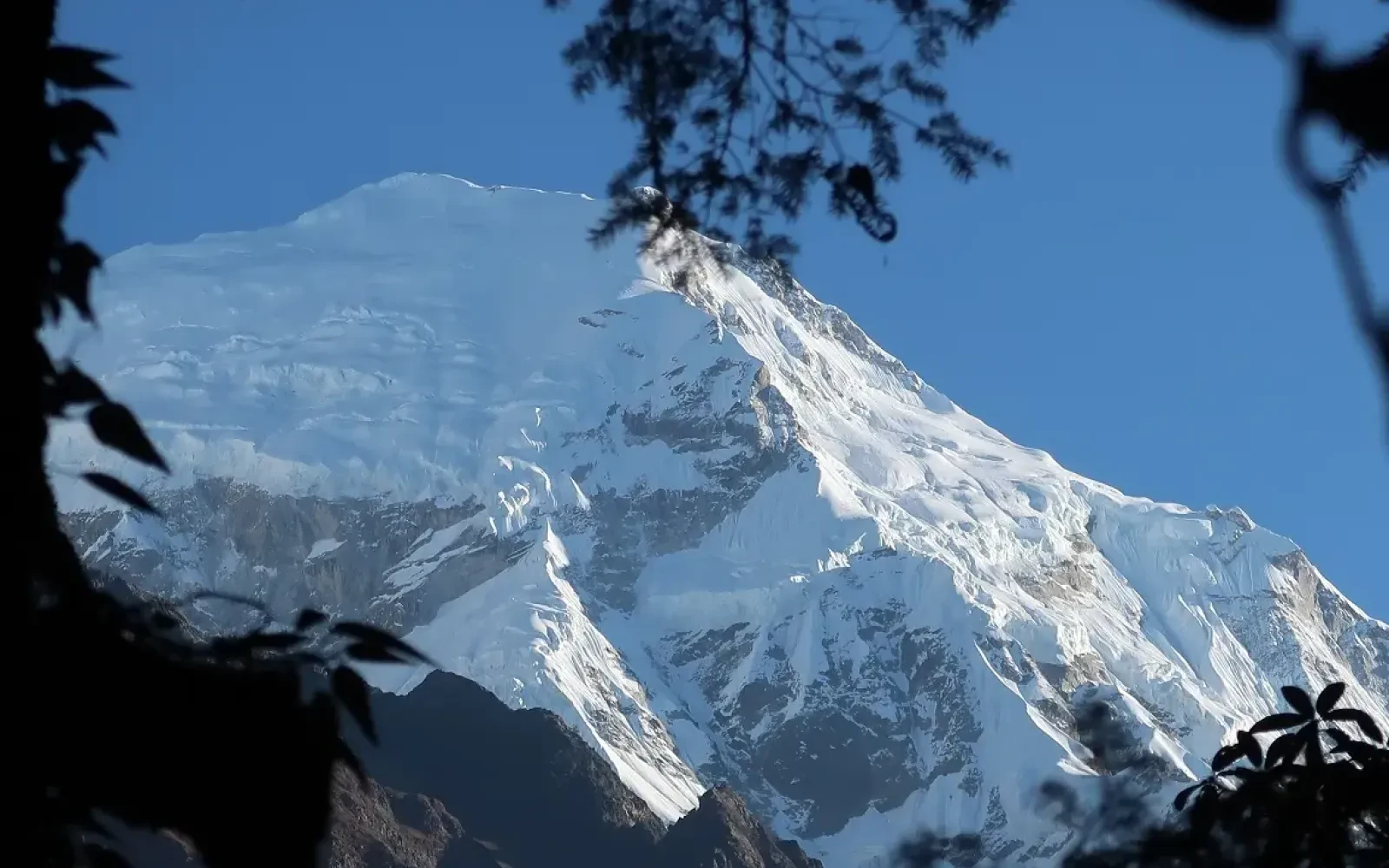 Langrang Valley Photography Trek: A Complete Trekkers' Guide