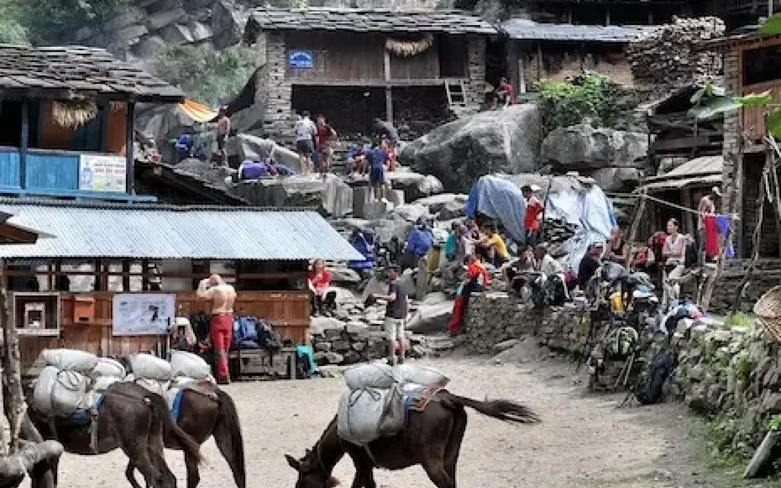 Trekking from Jagat to Deng
