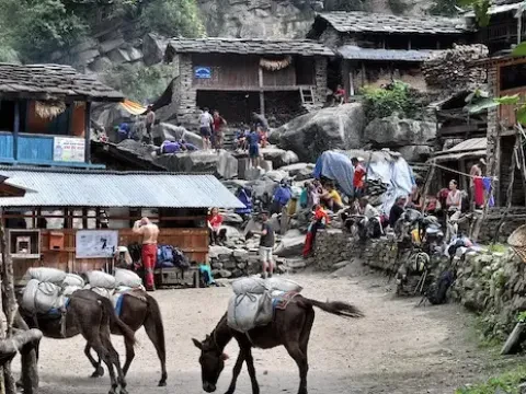 Trekking from Jagat to Deng