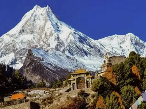 Flora and Fauna on Manaslu Circuit Trek