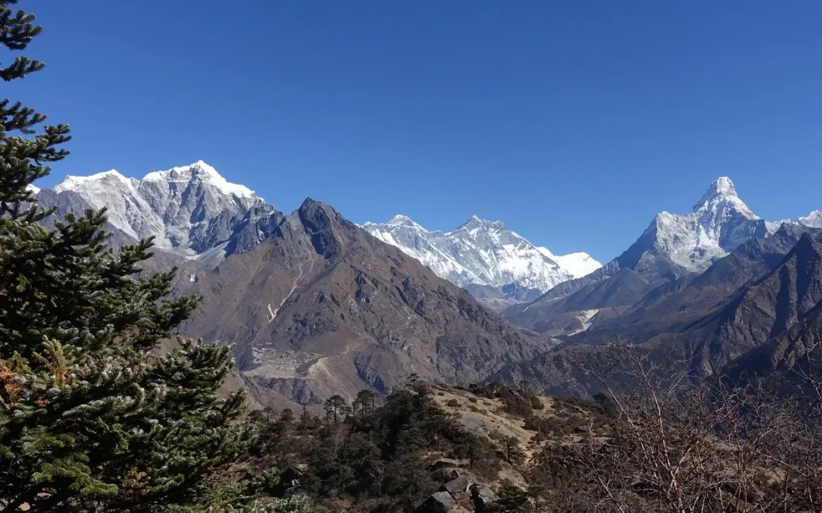 Flora and Fauna on Everest Base Camp Trek