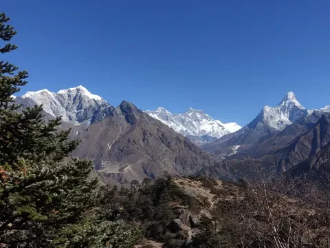 Flora and Fauna on Everest Base Camp Trek