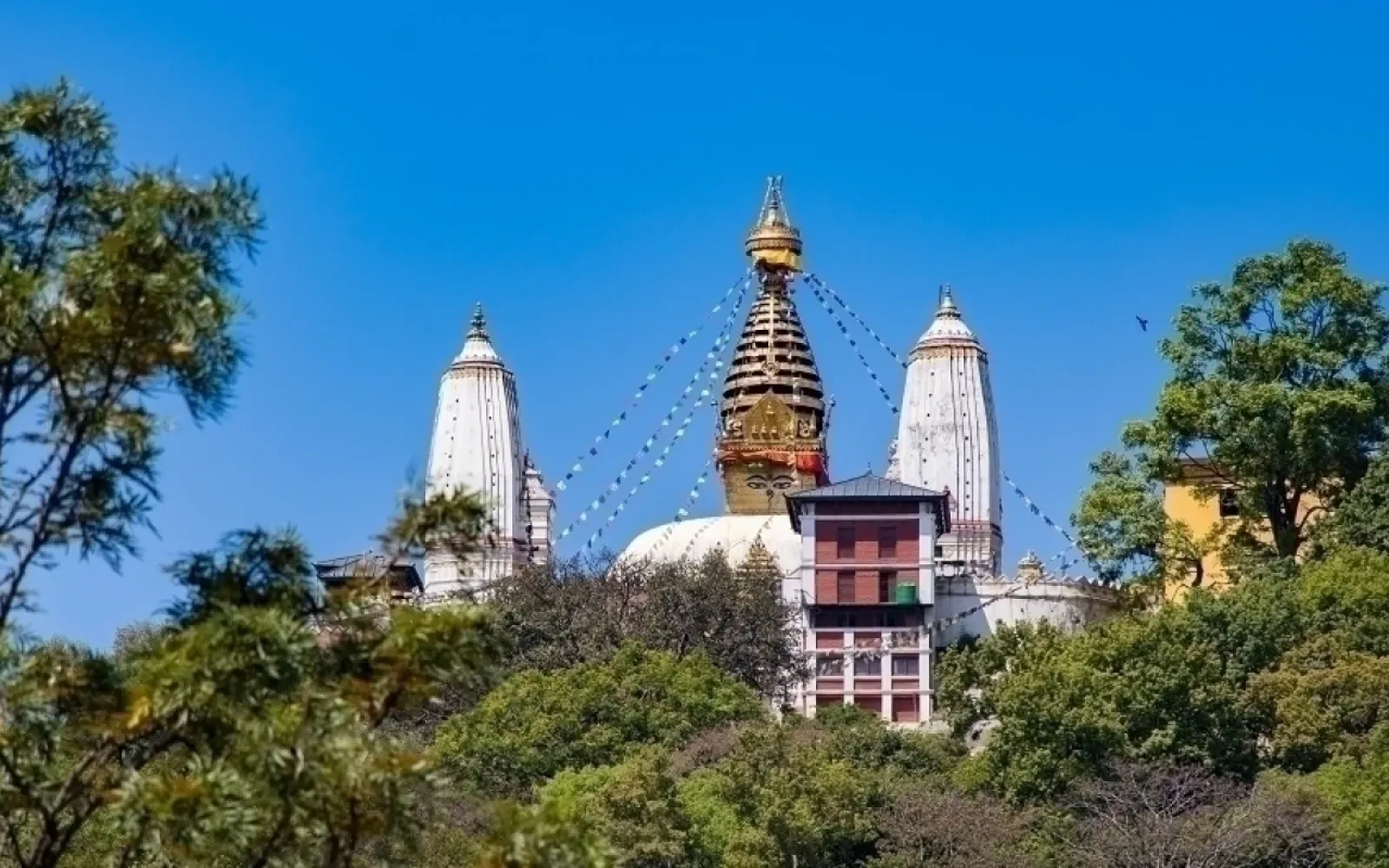 The UNESCO Seven World Heritage Tour in Kathmandu