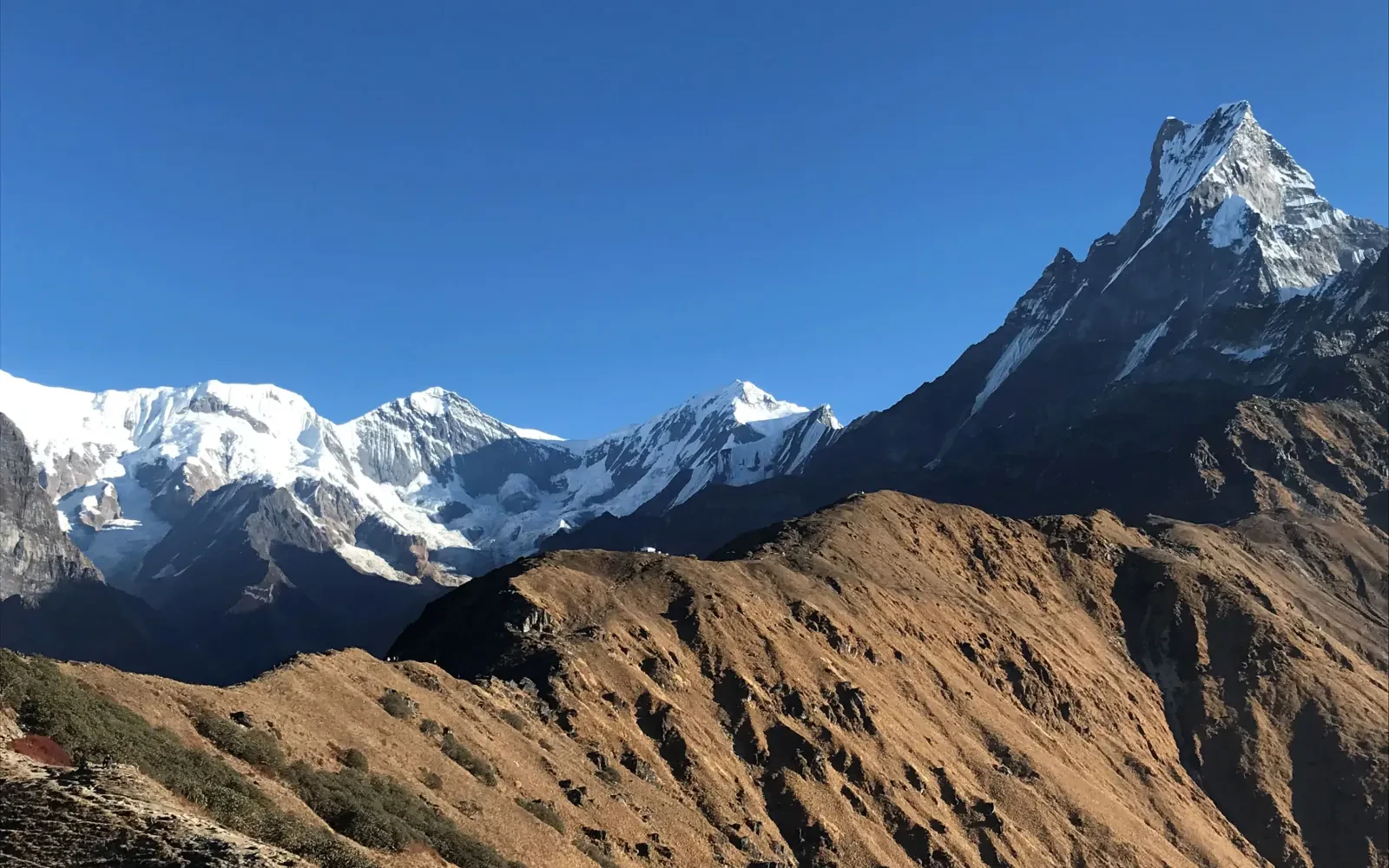 Best Time for Mardi Himal Trek