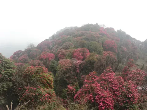 Mardi Himal Trek Cost from Kathmandu