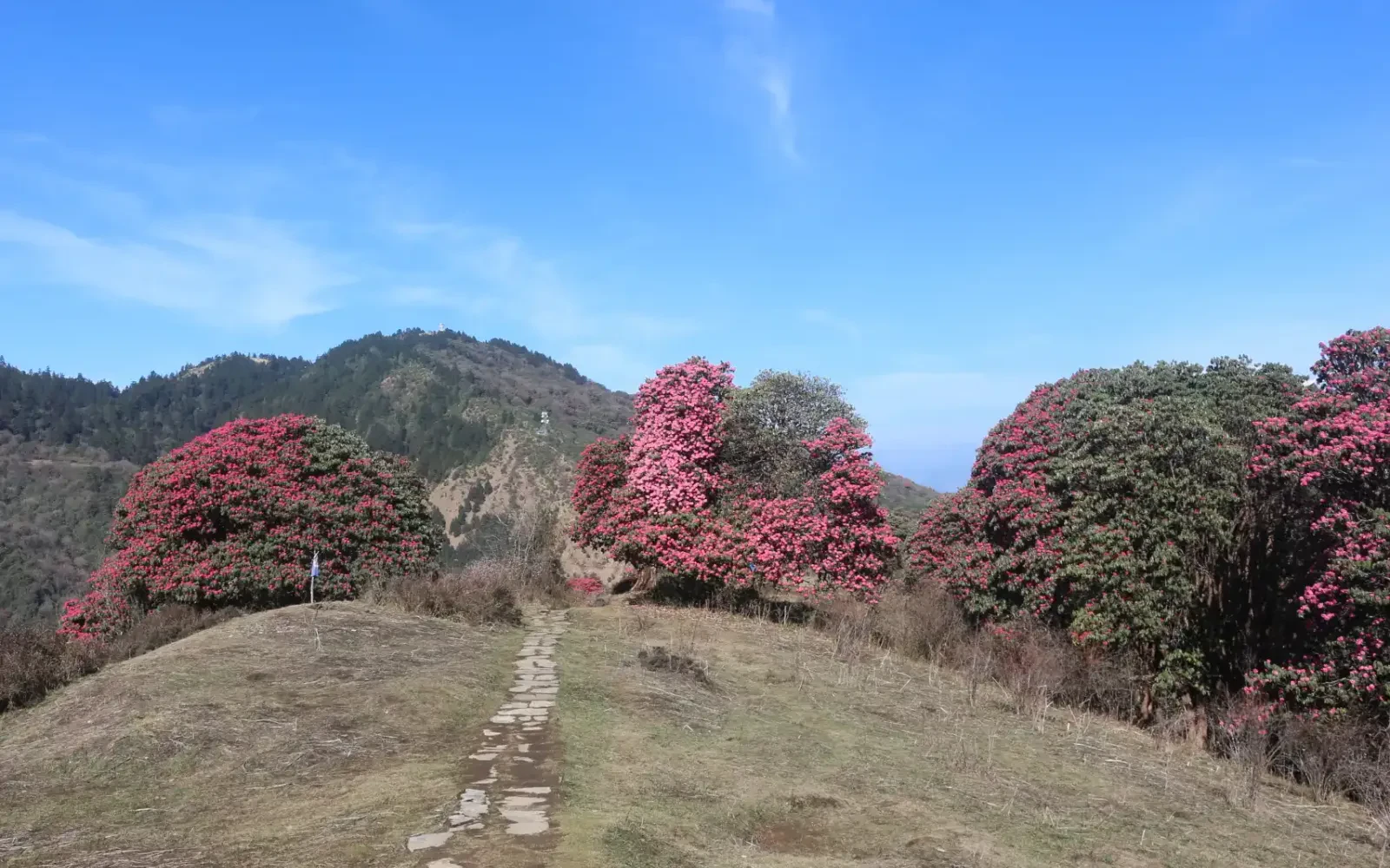 Mardi Himal Trek Cost from Pokhara
