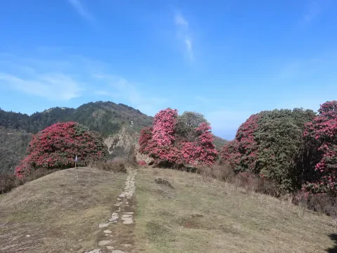 Mardi Himal Trek Cost from Pokhara