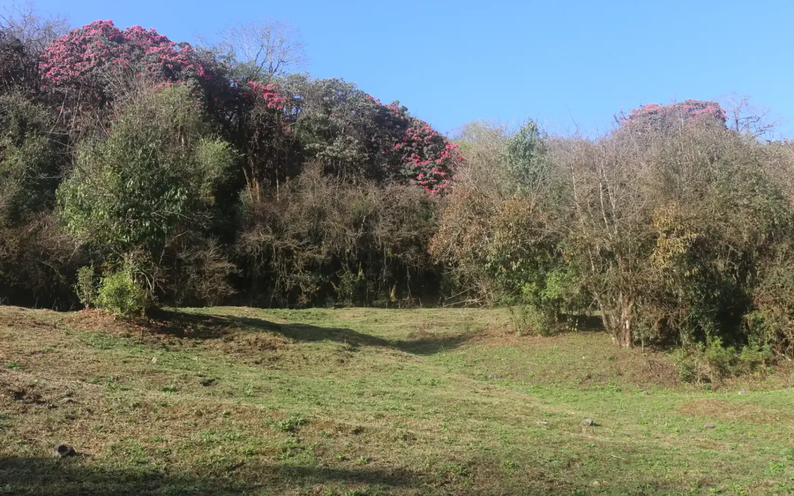 Required Permits for Mardi Himal Trek