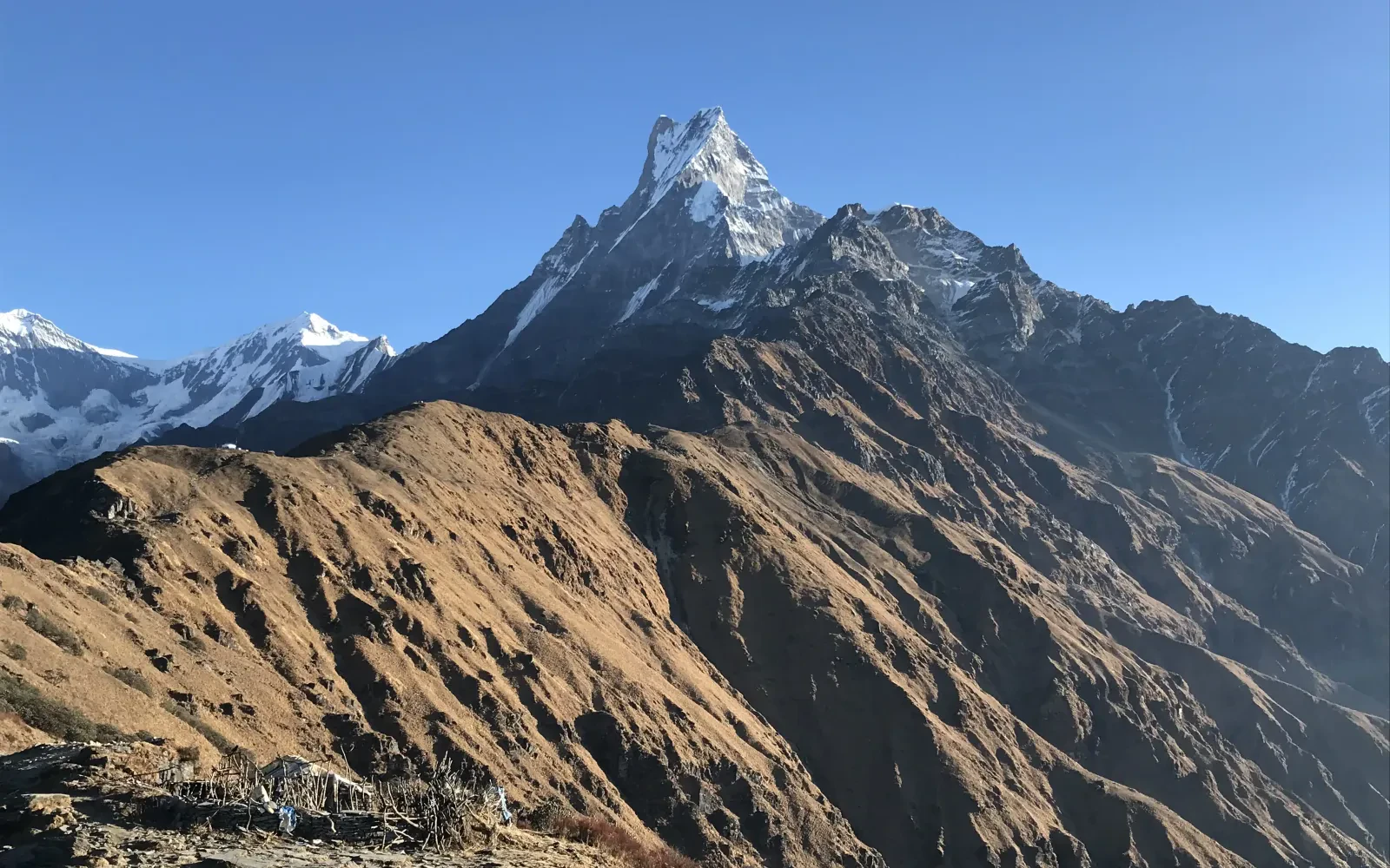 Mardi Himal Trek in Spring