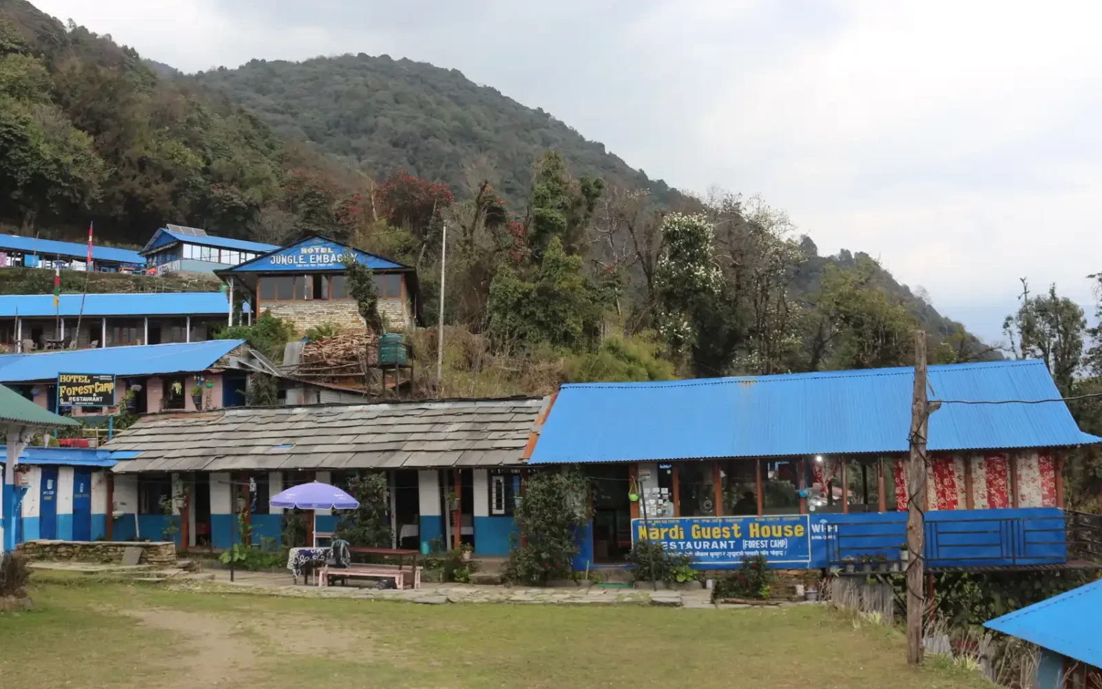 Forest Camp-A Cool and Serene Vilage on Mardi Himal Trail