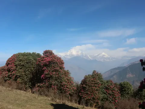 Poon Hill Trekking Trail Details