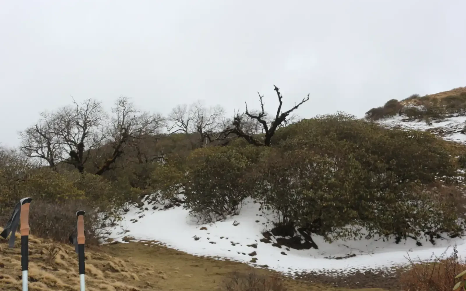 Mulde Hill Trek Cost Details