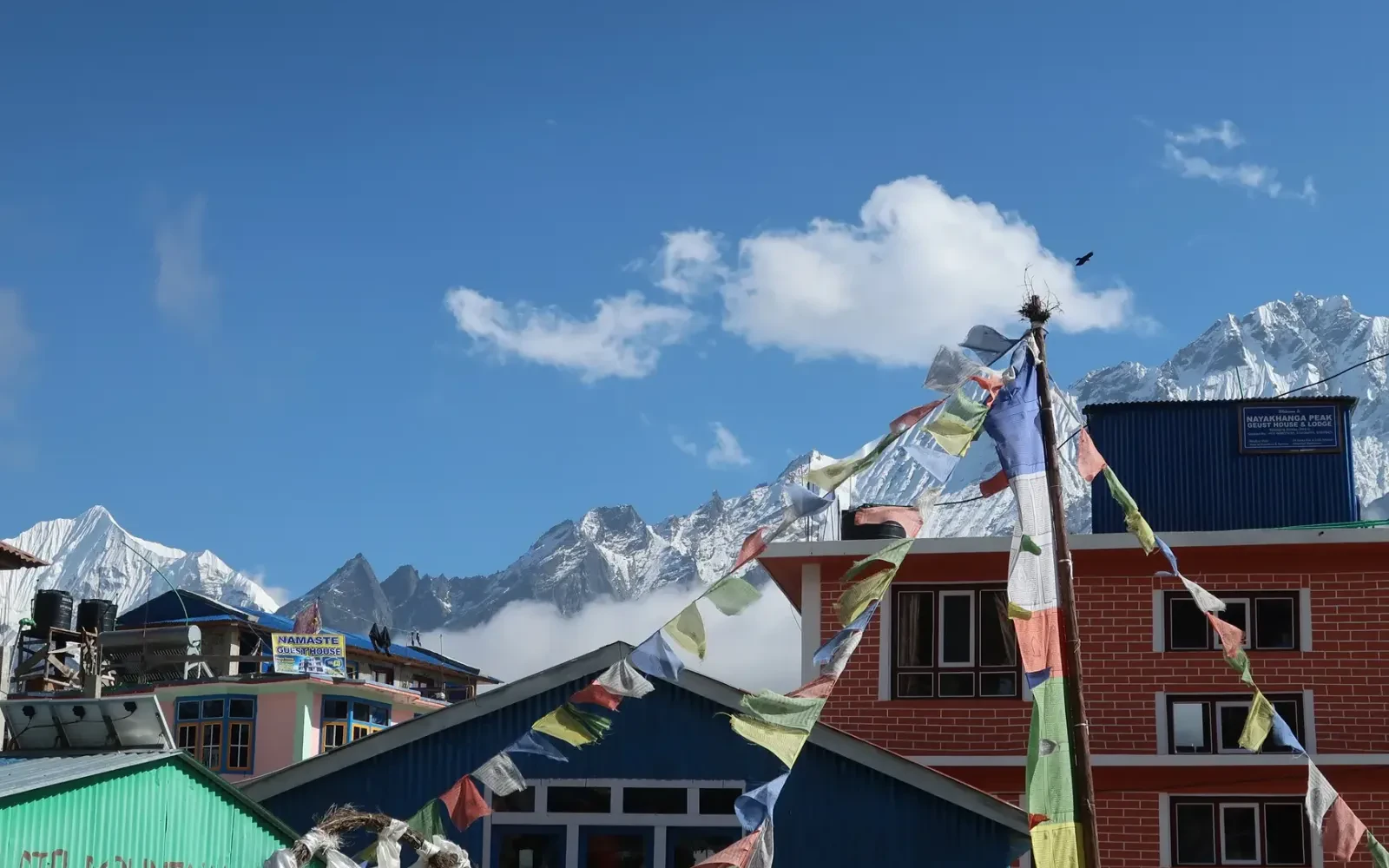 Langtang Valley – A Local Lodge Owner's Story