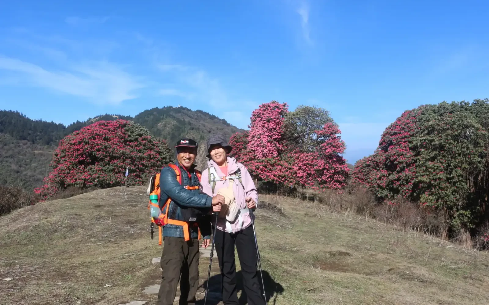 Ghorepani Poon Hill Trek: Guided Vs Independent