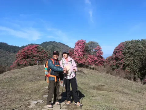 Ghorepani Poon Hill Trek: Guided Vs Independent