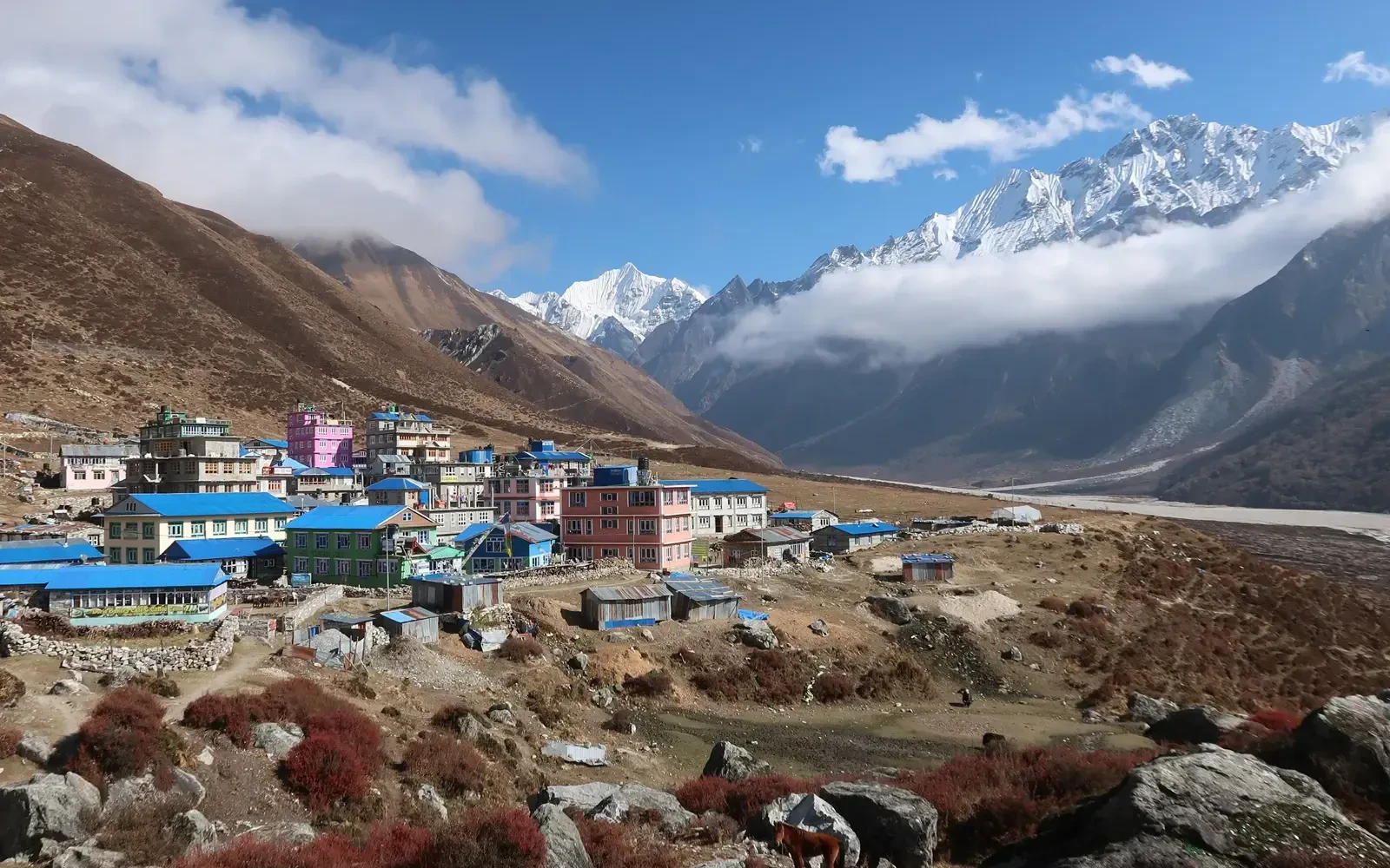 Langtang Valley Trek: Guided Vs. Independent