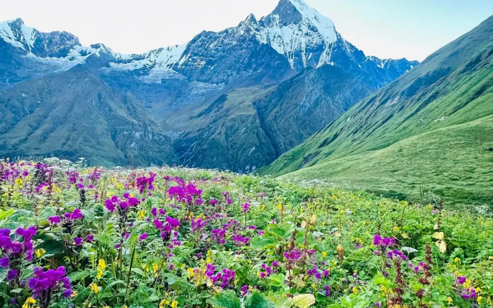 Monsoon Trekking in Nepal: Myth vs. Reality